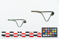 Foto von Bronzepaukenfibel (NHMW-PRAE-025974)